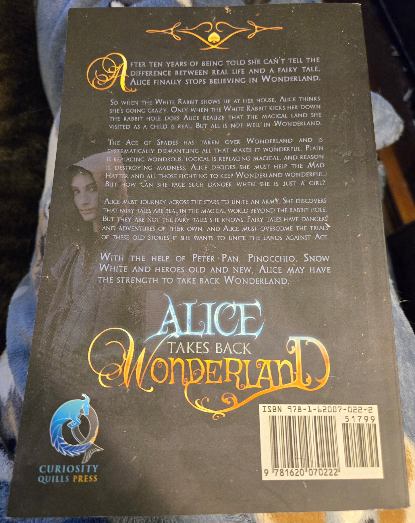 Alice Takes Back Wonderland By: David D. Hammons image 1