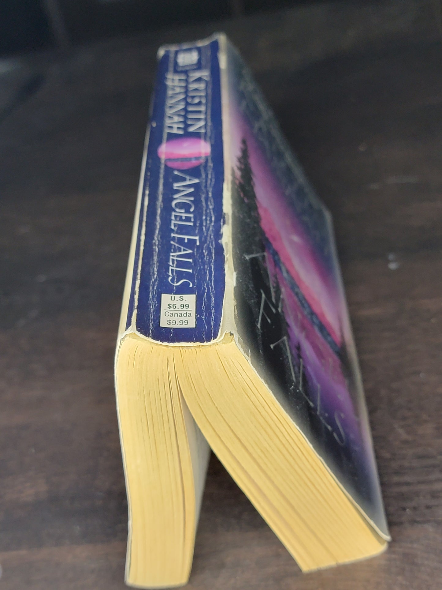 Angel Falls By: Kristin Hannah  image 2