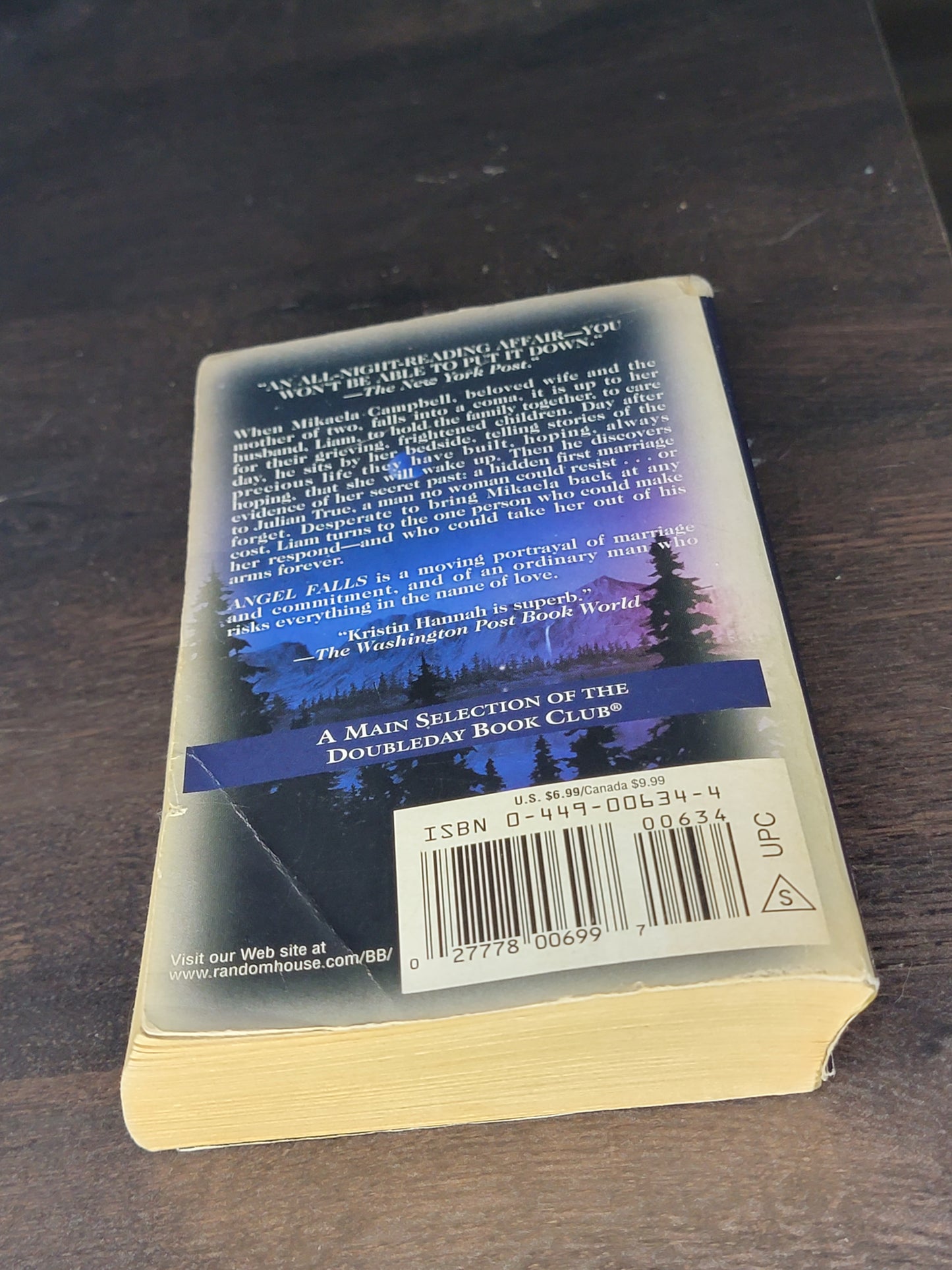 Angel Falls By: Kristin Hannah  image 1