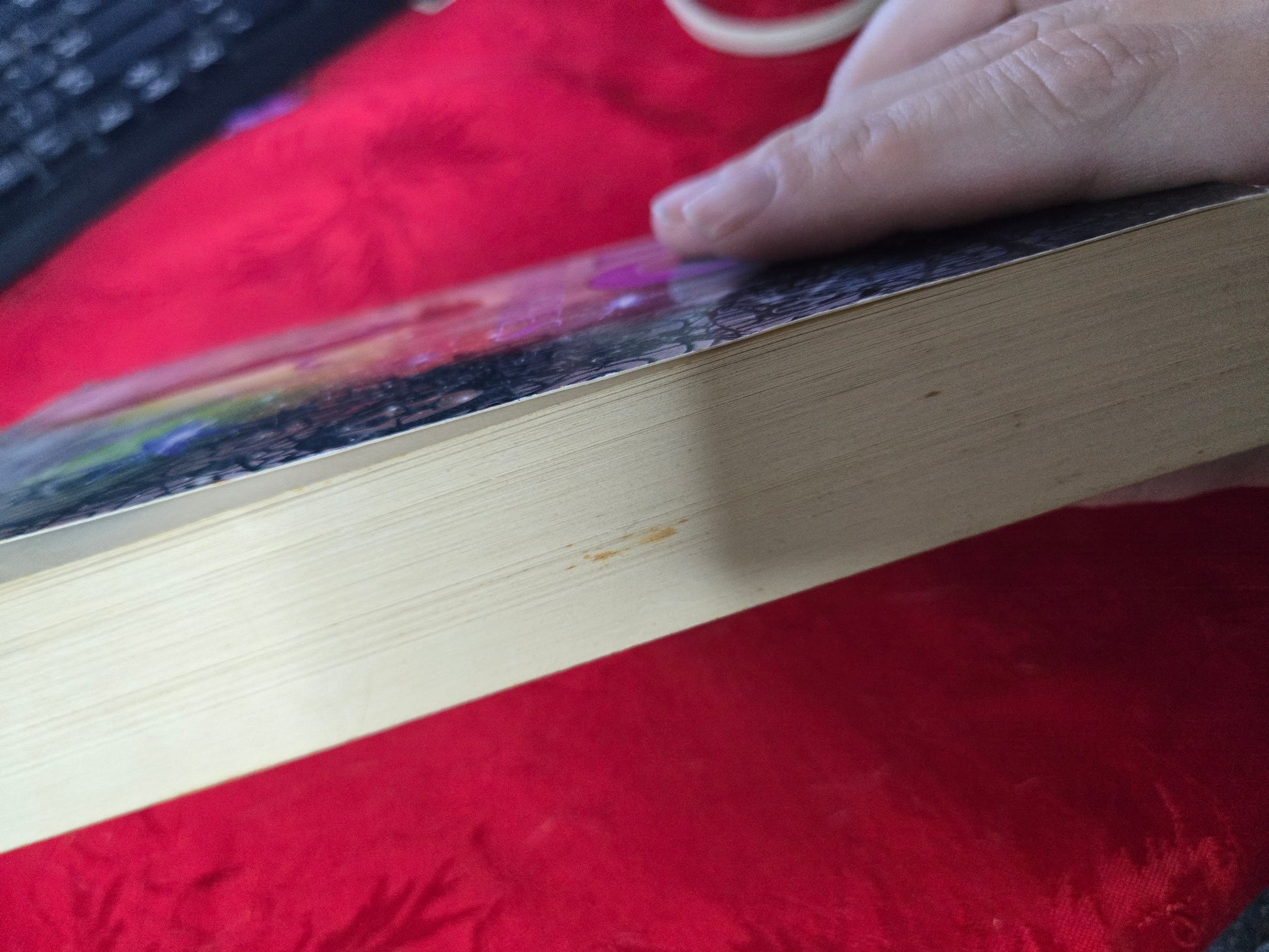 13 Treasures By: Michelle Harrison image 2