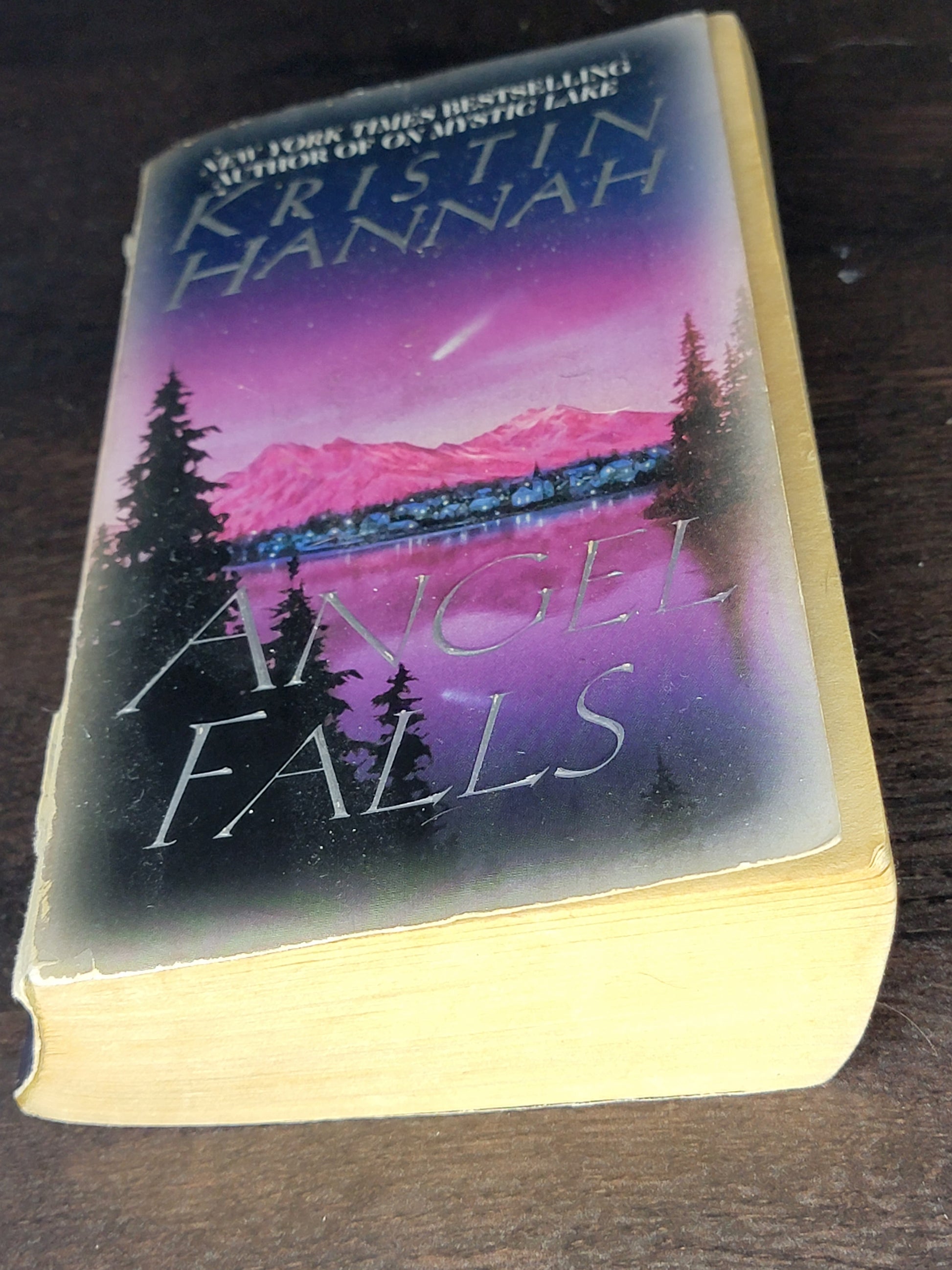 Angel Falls By: Kristin Hannah  image 0