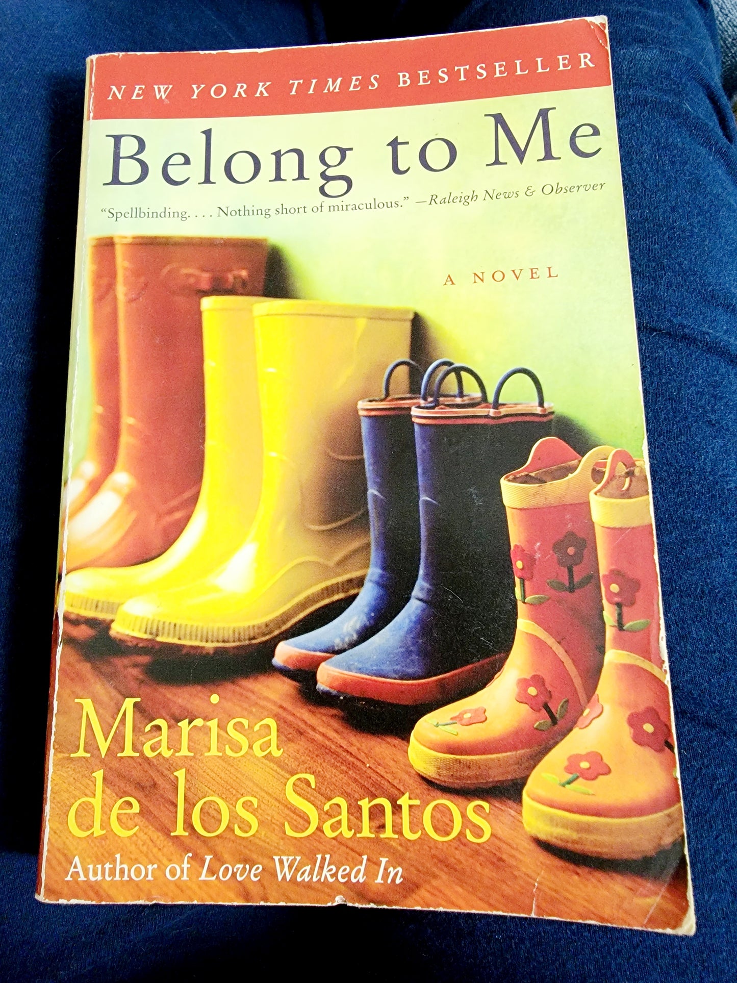 Belong To Me By: Marisa de los Santos image 0